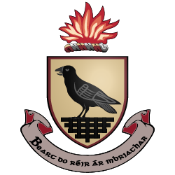 South Dublin Emblem