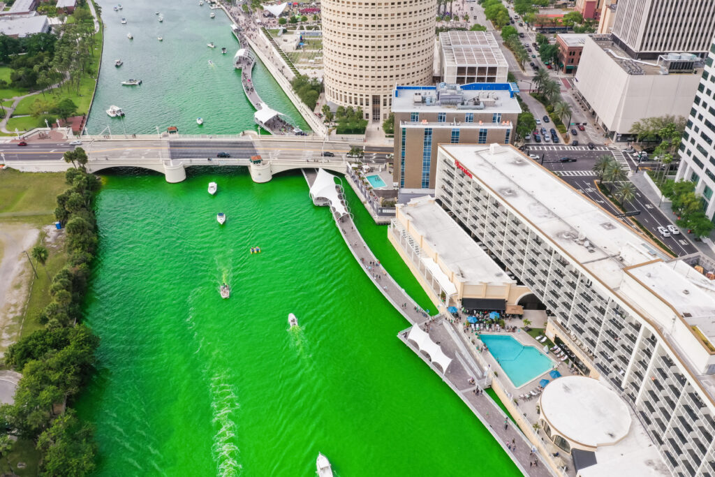 Each year, the City of Tampa dyes the Hillsborough River green to celebrate St. Patrick's Day. People from all over come to Downtown Tampa and Curtis Hixon Park to have food and drinks, and listent to live music while enjoying the green river. Saint Patrick's Day, or the Feast of Saint Patrick Irish La Fheile Padraig, the Day of the Festival of Patrick, is a cultural and religious celebration held on 17 March.
