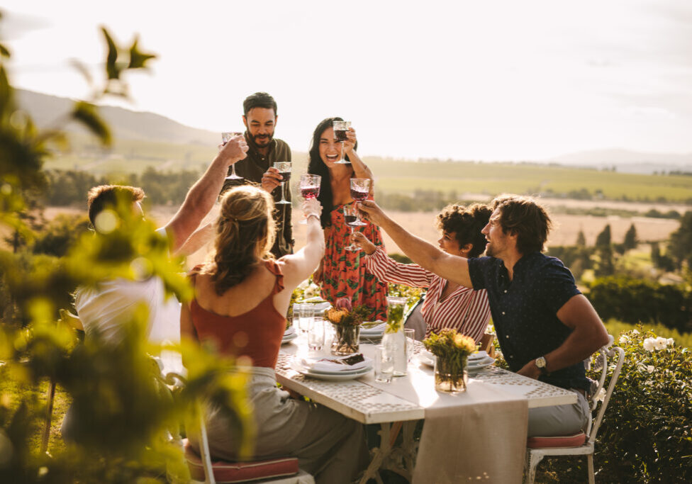 Friends making big party outdoors. Group of people toasting wine during a dinner party.