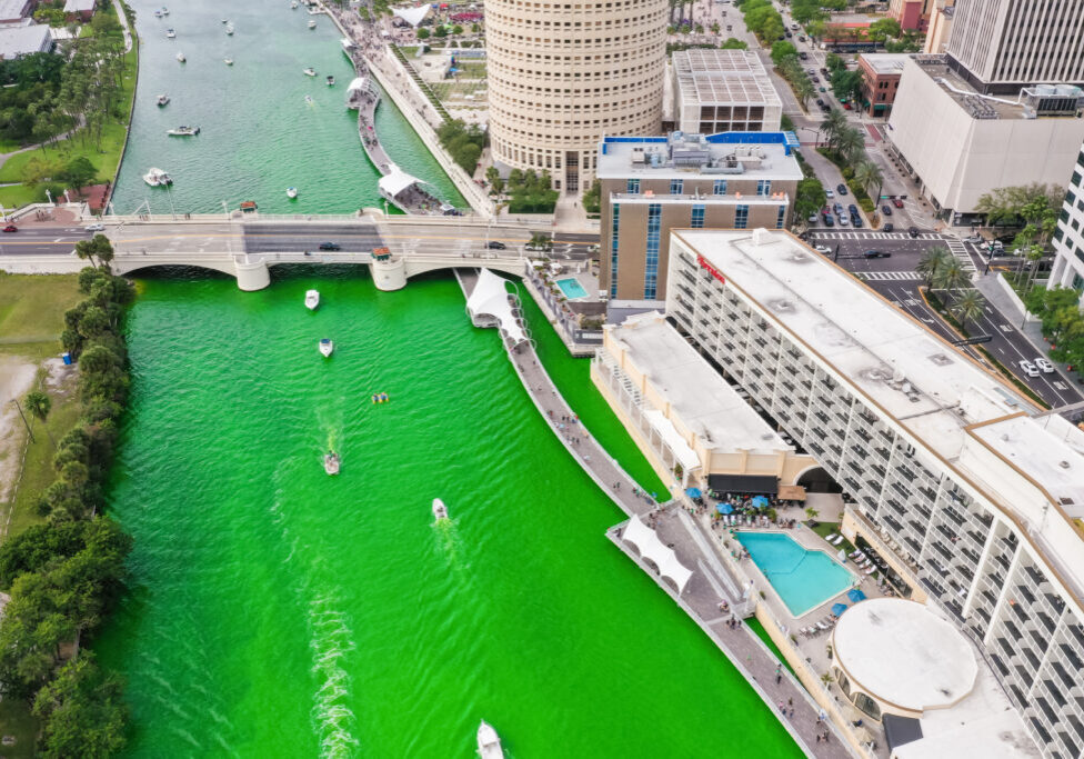 Each year, the City of Tampa dyes the Hillsborough River green to celebrate St. Patrick's Day. People from all over come to Downtown Tampa and Curtis Hixon Park to have food and drinks, and listent to live music while enjoying the green river. Saint Patrick's Day, or the Feast of Saint Patrick Irish La Fheile Padraig, the Day of the Festival of Patrick, is a cultural and religious celebration held on 17 March.