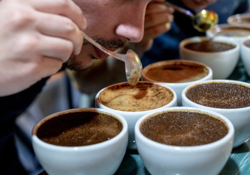 Coffee cupping